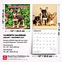 2027 BrownTrout Chihuahua Puppies 12" x 12" Monthly Wall Calendar (9798330712359)~#|#~sp320817417_sc7