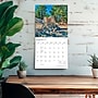 2027 BrownTrout Colorado National Parks & Monuments 12" x 12" Monthly Wall Calendar (9798330710461)~#|#~sp320817427_sc7