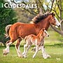 2027 BrownTrout Clydesdales 12" x 12" Monthly Wall Calendar (9798330711963)~#|#~sp320817443_sc7