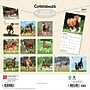 2027 BrownTrout Clydesdales 12" x 12" Monthly Wall Calendar (9798330711963)~#|#~sp320817444_sc7