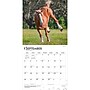 2027 BrownTrout Clydesdales 12" x 12" Monthly Wall Calendar (9798330711963)~#|#~sp320817446_sc7
