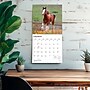 2027 BrownTrout Clydesdales 12" x 12" Monthly Wall Calendar (9798330711963)~#|#~sp320817447_sc7