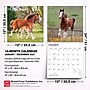 2027 BrownTrout Clydesdales 12" x 12" Monthly Wall Calendar (9798330711963)~#|#~sp320817449_sc7
