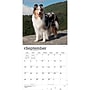 2027 BrownTrout Collies 12" x 12" Monthly Wall Calendar (9798330712373)~#|#~sp320817456_sc7