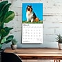 2027 BrownTrout Collies 12" x 12" Monthly Wall Calendar (9798330712373)~#|#~sp320817457_sc7