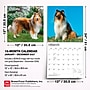 2027 BrownTrout Collies 12" x 12" Monthly Wall Calendar (9798330712373)~#|#~sp320817459_sc7