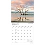 2027 BrownTrout Carolina Coast 12" x 12" Monthly Wall Calendar (9798330710454)~#|#~sp320817475_sc7