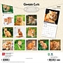 2027 BrownTrout Ginger Cats 12" x 12" Monthly Wall Calendar (9798330711789)~#|#~sp320817484_sc7