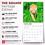 2027 BrownTrout Ginger Cats 12" x 12" Monthly Wall Calendar (9798330711789)~#|#~sp320817488_sc7
