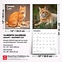 2027 BrownTrout Ginger Cats 12" x 12" Monthly Wall Calendar (9798330711789)~#|#~sp320817489_sc7