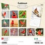 2027 BrownTrout Cardinals 12" x 12" Monthly Wall Calendar (9798330712038)~#|#~sp320817495_sc7