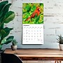 2027 BrownTrout Cardinals 12" x 12" Monthly Wall Calendar (9798330712038)~#|#~sp320817498_sc7