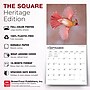 2027 BrownTrout Cardinals 12" x 12" Monthly Wall Calendar (9798330712038)~#|#~sp320817499_sc7
