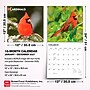 2027 BrownTrout Cardinals 12" x 12" Monthly Wall Calendar (9798330712038)~#|#~sp320817500_sc7