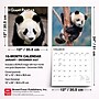 2027 BrownTrout Giant Pandas 12" x 12" Monthly Wall Calendar (9798330712045)~#|#~sp320817510_sc7