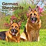 2027 BrownTrout German Shepherds 12" x 12" Monthly Wall Calendar (9798330712441)~#|#~sp320817514_sc7