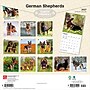 2027 BrownTrout German Shepherds 12" x 12" Monthly Wall Calendar (9798330712441)~#|#~sp320817515_sc7