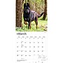 2027 BrownTrout German Shepherds 12" x 12" Monthly Wall Calendar (9798330712441)~#|#~sp320817516_sc7