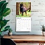 2027 BrownTrout German Shepherds 12" x 12" Monthly Wall Calendar (9798330712441)~#|#~sp320817518_sc7