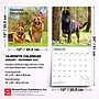 2027 BrownTrout German Shepherds 12" x 12" Monthly Wall Calendar (9798330712441)~#|#~sp320817520_sc7