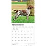 2027 BrownTrout German Shorthaired Pointers 12" x 12" Monthly Wall Calendar (9798330712458)~#|#~sp320817538_sc7