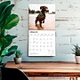 2027 BrownTrout German Shorthaired Pointers 12" x 12" Monthly Wall Calendar (9798330712458)~#|#~sp320817539_sc7