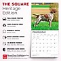 2027 BrownTrout German Shorthaired Pointers 12" x 12" Monthly Wall Calendar (9798330712458)~#|#~sp320817540_sc7