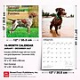 2027 BrownTrout German Shorthaired Pointers 12" x 12" Monthly Wall Calendar (9798330712458)~#|#~sp320817541_sc7