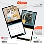 2027 BrownTrout Cat Selfies 12" x 12" Monthly Wall Calendar (9798330711383)~#|#~sp320817568_sc7