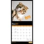 2027 BrownTrout Cat Selfies 12" x 12" Monthly Wall Calendar (9798330711383)~#|#~sp320817569_sc7