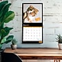 2027 BrownTrout Cat Selfies 12" x 12" Monthly Wall Calendar (9798330711383)~#|#~sp320817571_sc7