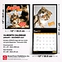 2027 BrownTrout Cat Selfies 12" x 12" Monthly Wall Calendar (9798330711383)~#|#~sp320817573_sc7
