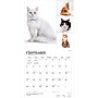 2027 BrownTrout Cat Lovers 12" x 12" Monthly Wall Calendar (9798330711772)~#|#~sp320817590_sc7