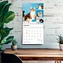 2027 BrownTrout Cat Lovers 12" x 12" Monthly Wall Calendar (9798330711772)~#|#~sp320817591_sc7