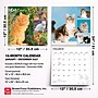 2027 BrownTrout Cat Lovers 12" x 12" Monthly Wall Calendar (9798330711772)~#|#~sp320817593_sc7