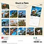2027 BrownTrout Goats in Trees 12" x 12" Monthly Wall Calendar (9798330712052)~#|#~sp320817598_sc7