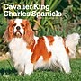 2027 BrownTrout Cavalier King Charles Spaniels 12" x 12" Monthly Wall Calendar (9798330714148)~#|#~sp320817617_sc7
