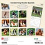 2027 BrownTrout Cavalier King Charles Spaniels 12" x 12" Monthly Wall Calendar (9798330714148)~#|#~sp320817618_sc7
