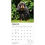 2027 BrownTrout Cavalier King Charles Spaniels 12" x 12" Monthly Wall Calendar (9798330714148)~#|#~sp320817619_sc7