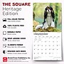 2027 BrownTrout Cavalier King Charles Spaniels 12" x 12" Monthly Wall Calendar (9798330714148)~#|#~sp320817622_sc7
