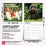 2027 BrownTrout Cavalier King Charles Spaniels 12" x 12" Monthly Wall Calendar (9798330714148)~#|#~sp320817623_sc7