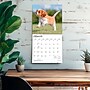 2027 BrownTrout Cavalier King Charles Spaniel Puppies 12" x 12" Monthly Wall Calendar (9798330714131)~#|#~sp320817634_sc7