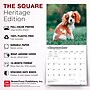 2027 BrownTrout Cavalier King Charles Spaniel Puppies 12" x 12" Monthly Wall Calendar (9798330714131)~#|#~sp320817635_sc7