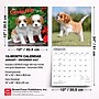 2027 BrownTrout Cavalier King Charles Spaniel Puppies 12" x 12" Monthly Wall Calendar (9798330714131)~#|#~sp320817636_sc7