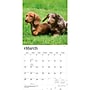 2027 BrownTrout Miniature Dachshunds 12" x 12" Monthly Wall Calendar (9798330712403)~#|#~sp320817684_sc7