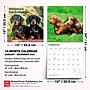 2027 BrownTrout Miniature Dachshunds 12" x 12" Monthly Wall Calendar (9798330712403)~#|#~sp320817688_sc7