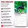 2027 BrownTrout Dobermans 12" x 12" Monthly Wall Calendar (9798330712410)~#|#~sp320817697_sc7