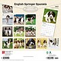 2027 BrownTrout English Springer Spaniels 12" x 12" Monthly Wall Calendar (9798330712427)~#|#~sp320817713_sc7