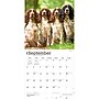 2027 BrownTrout English Springer Spaniels 12" x 12" Monthly Wall Calendar (9798330712427)~#|#~sp320817715_sc7