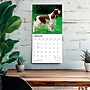 2027 BrownTrout English Springer Spaniels 12" x 12" Monthly Wall Calendar (9798330712427)~#|#~sp320817716_sc7